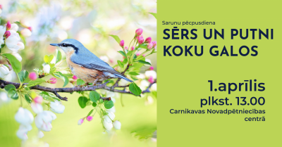 1.aprīlī notiks sarunu pēcpusdiena “Sērs un putni koku galos”