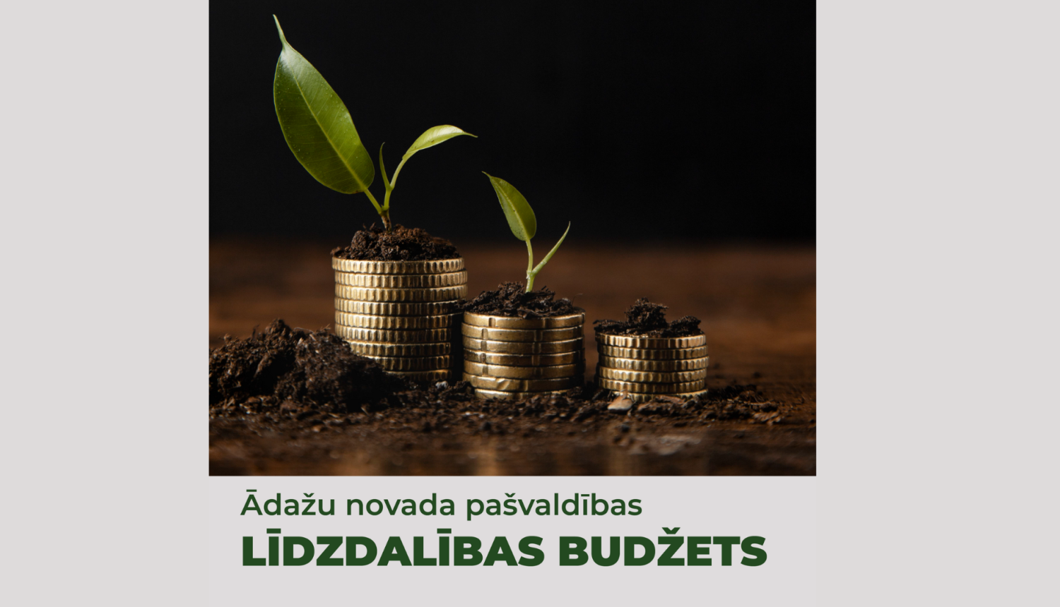 lidzdal budzet